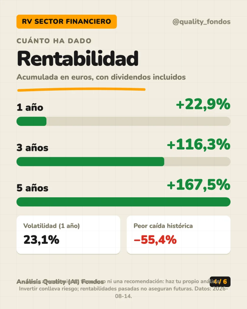Dónde invierte del análisis de Algebris Financial Equity Fund (UCITS) Clase R EUR (Acum.)