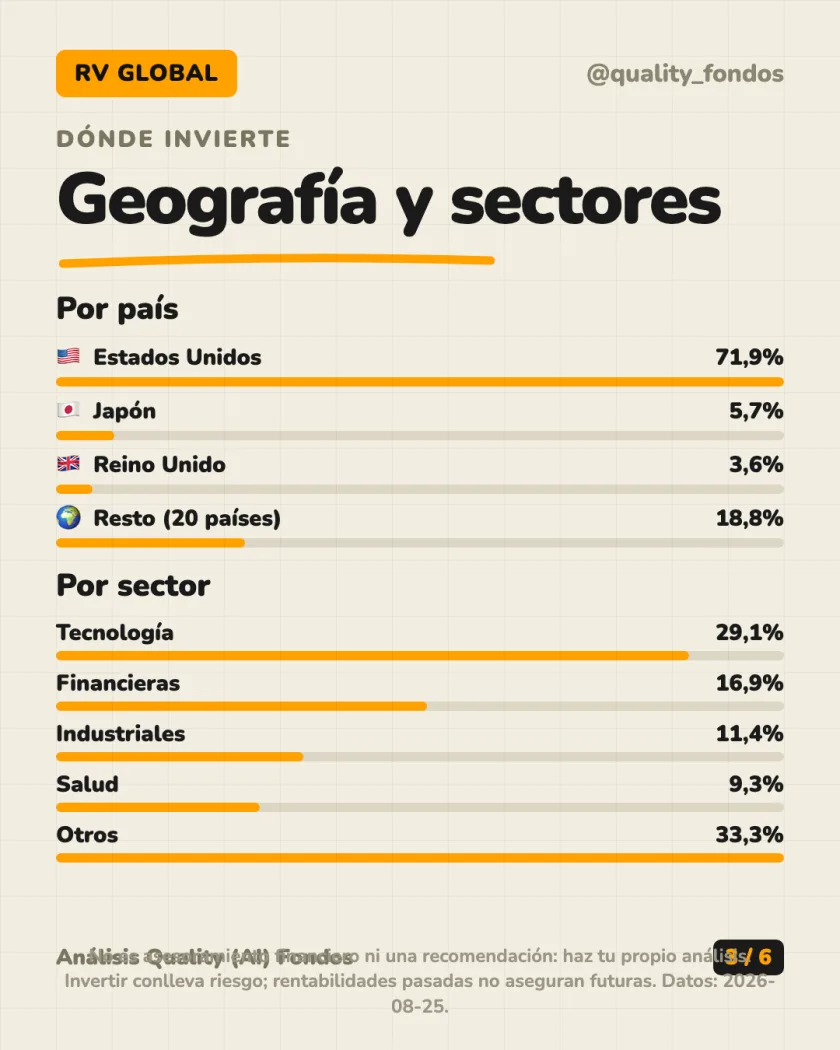 Qué lleva dentro del análisis de Amundi Index Solutions - Amundi Index MSCI World, Clase AE EUR (Acum.)