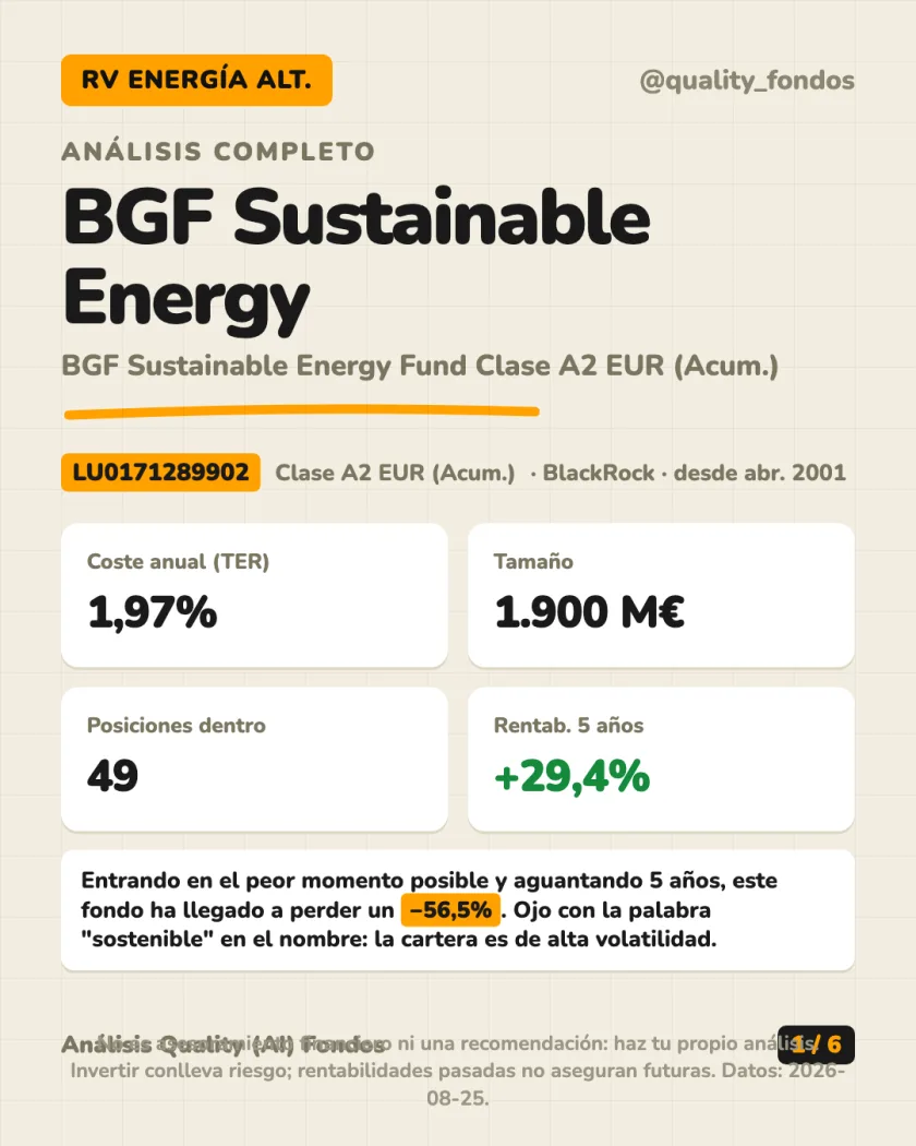 Resumen en 30 segundos del análisis de BGF Sustainable Energy Fund Clase A2 EUR (Acum.)