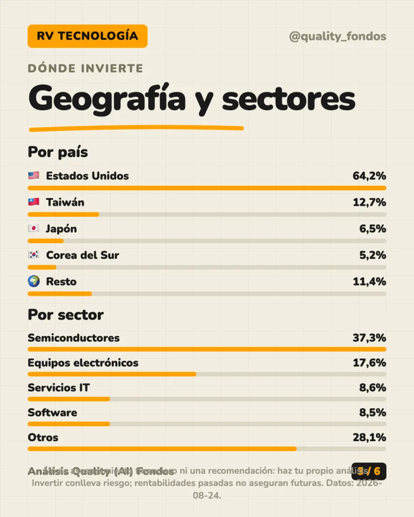 Qué lleva dentro del análisis de BlackRock Global Funds - Next Generation Technology Fund Clase A2 USD (Acum.)