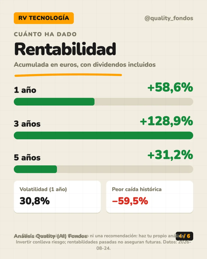 Dónde invierte del análisis de BlackRock Global Funds - Next Generation Technology Fund Clase A2 USD (Acum.)