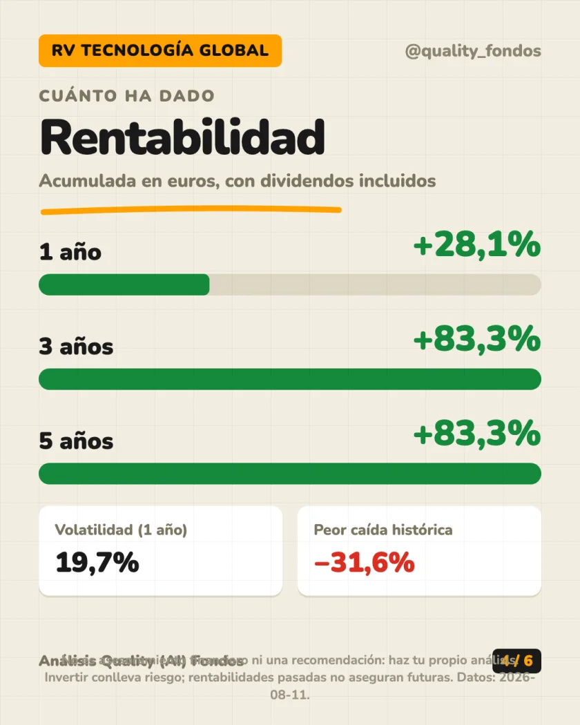 Dónde invierte del análisis de Fidelity Funds - Global Technology Fund, Clase A-Acc-EUR (hedged)