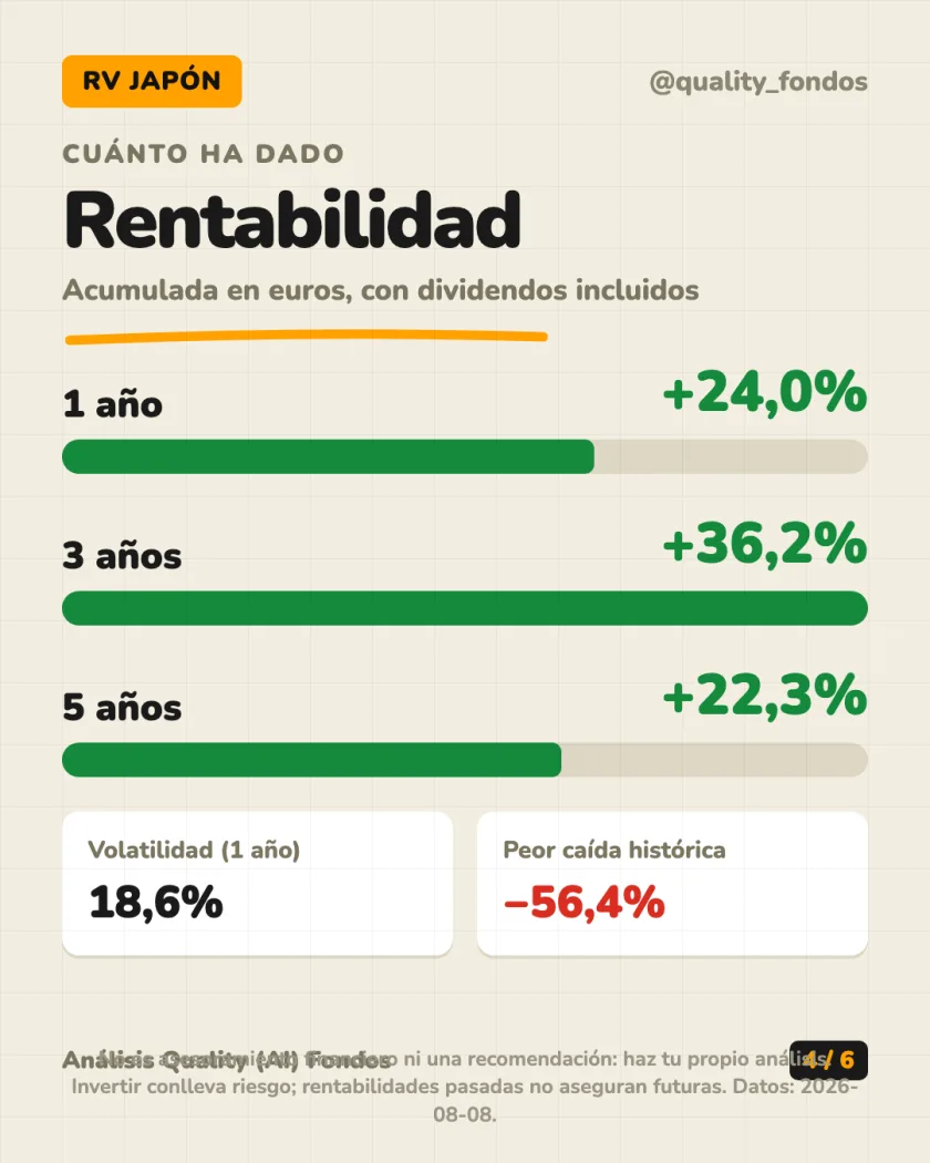 Dónde invierte del análisis de Fidelity Funds - Japan Equity ESG Fund A-Acc-EUR