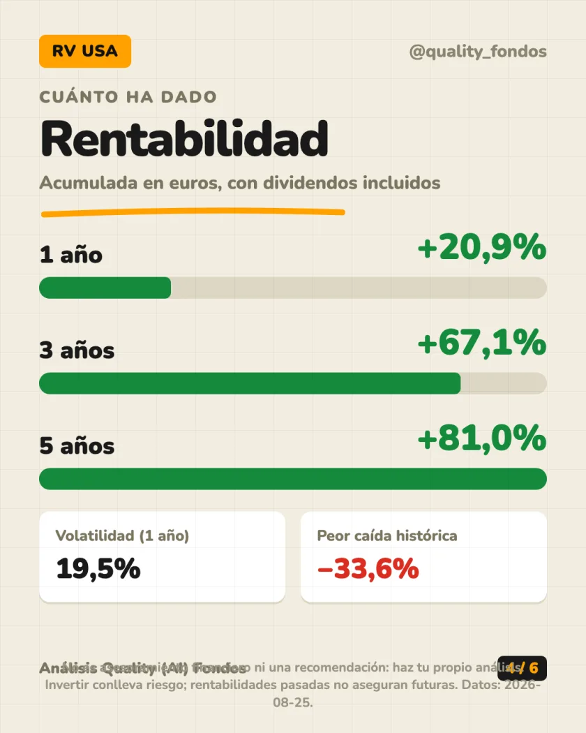 Dónde invierte del análisis de Fidelity S&P 500 Index Fund, Clase P-Acc-EUR