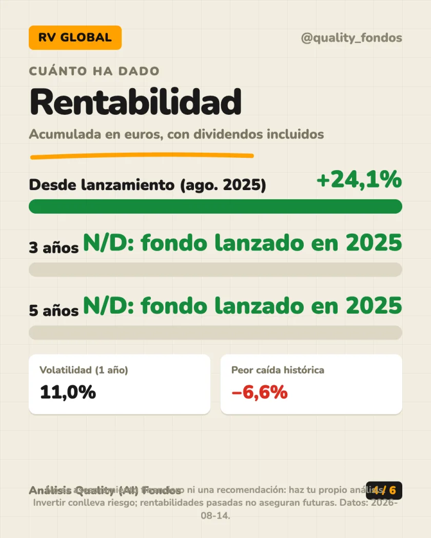 Dónde invierte del análisis de iShares Developed World Index Fund (IE) Clase S Acc EUR