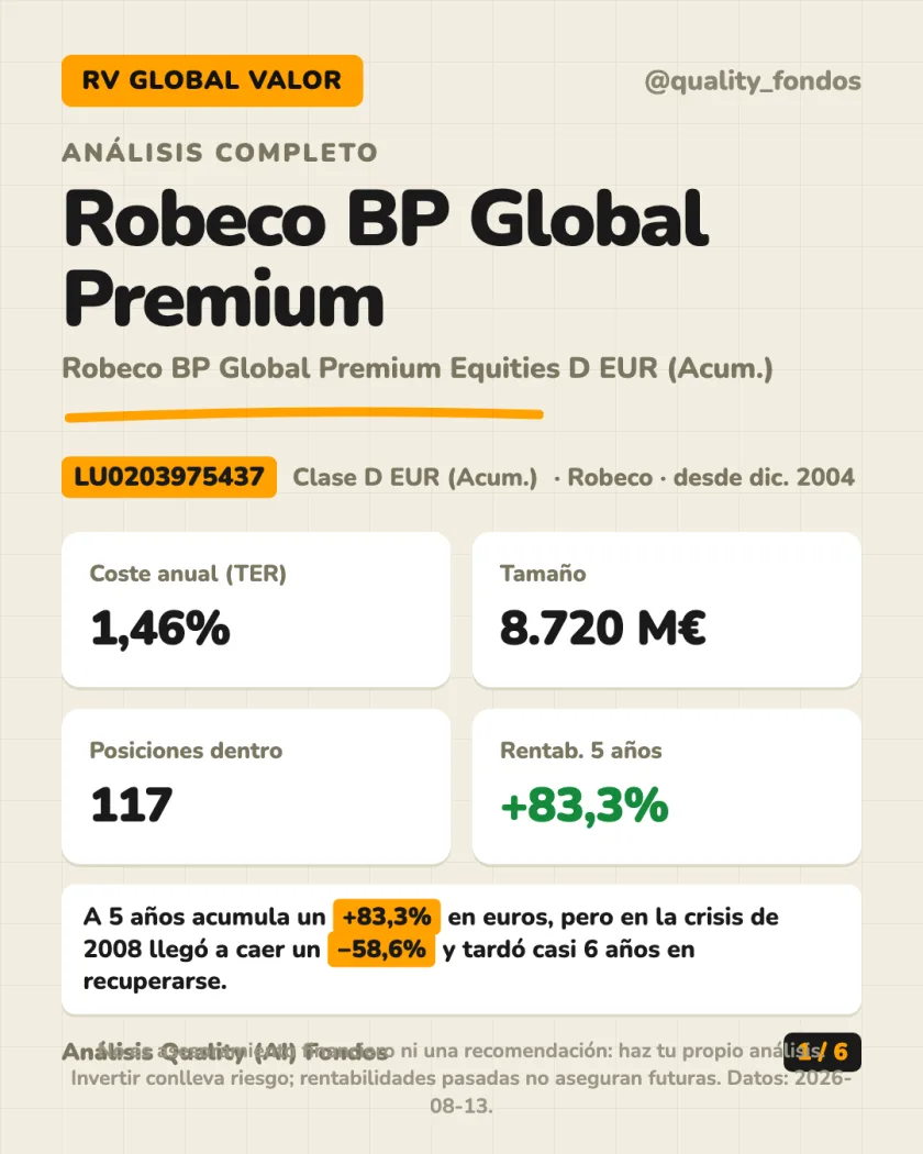Resumen en 30 segundos del análisis de Robeco BP Global Premium Equities D EUR (Acum.)